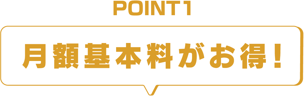 PINT1 月額基本料がお得！