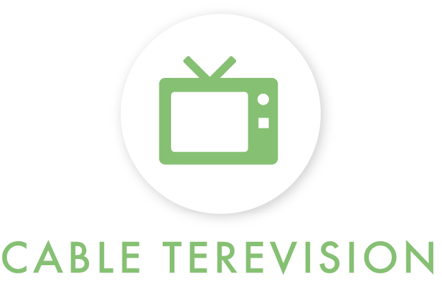 CABLE TELEVISION