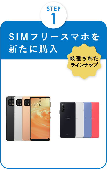 SIMフリースマホを
                        新たに購入02