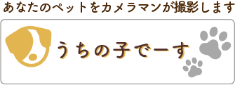 あなた